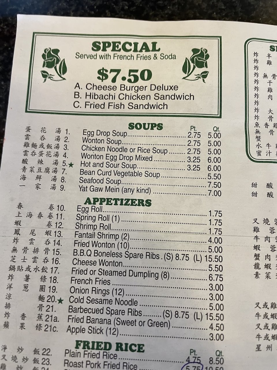 Close-up of menu text and dish names.